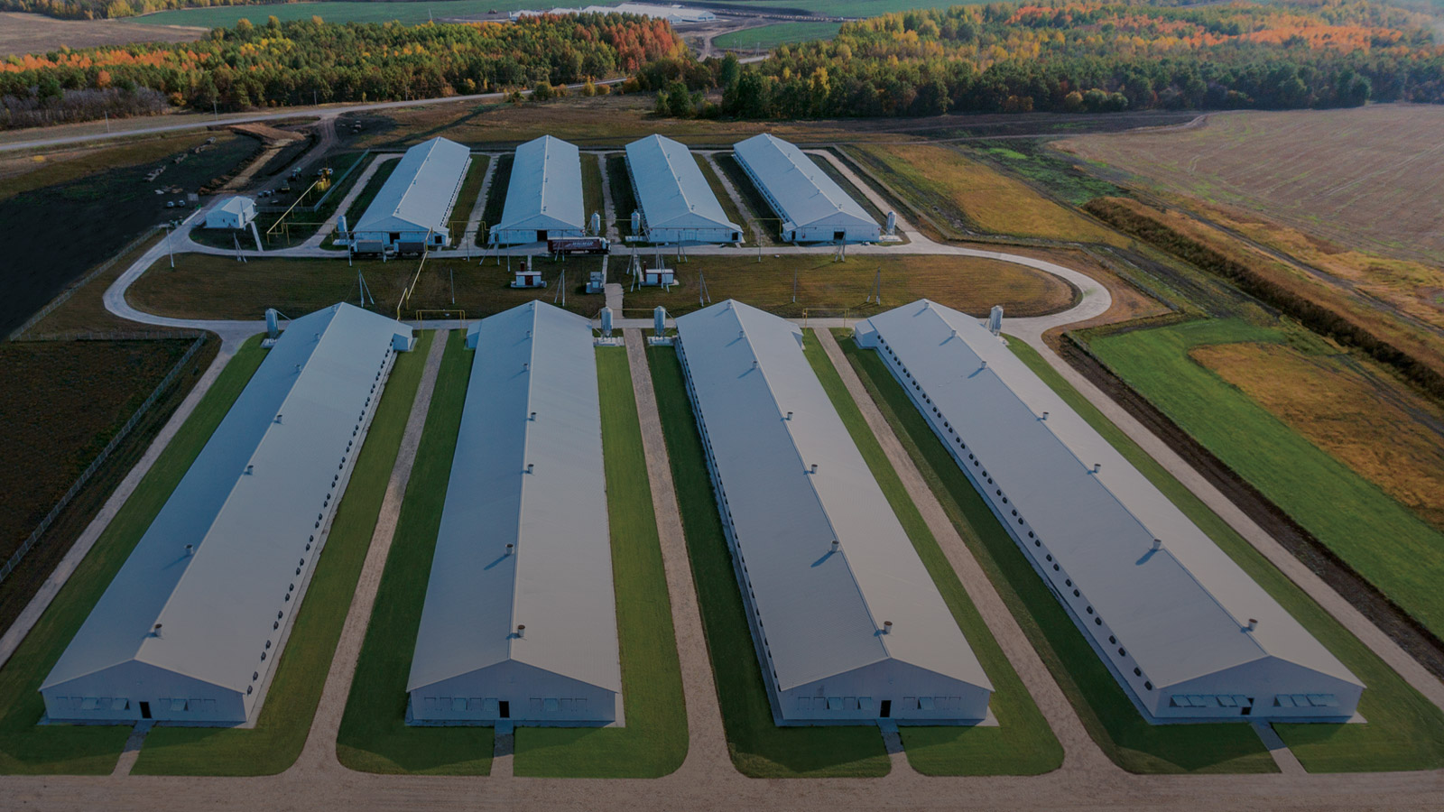 Производство индейки